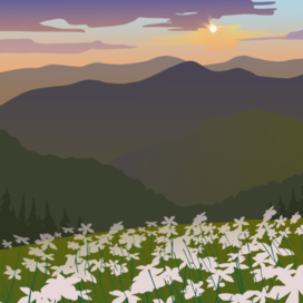 утреннее поле