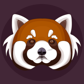 красная панда