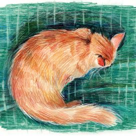 Кот отдыхает