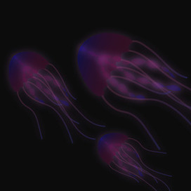 Люминисцентные медузы