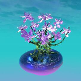 гидропоника