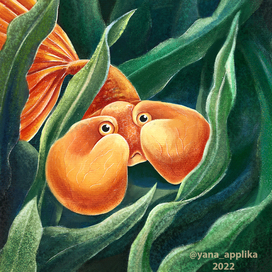 Рыба в водорослях