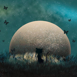 Чёрная кошка смотрит на большую луну