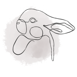 Минимализм, лайн-арт, кошка