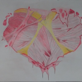 Сердце из мышц