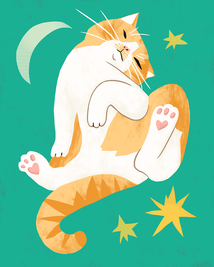 Иллюстрация Котик в стиле плакат | Illustrators.ru