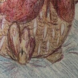 Сова, катающаяся с горки