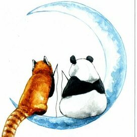 Иллюстрация панды