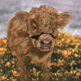 Теленок в поле