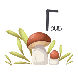 Г - гриб (кусочек детской азбуки)