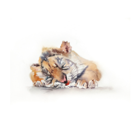 Спящий тигренок