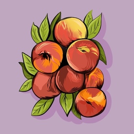 Персики 
