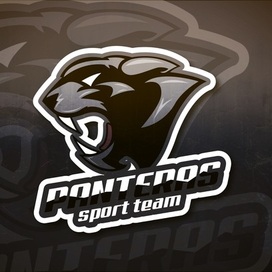 Panteras ST Logo