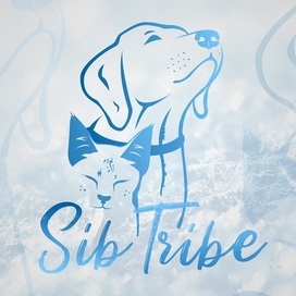 Sib Tribe Logo