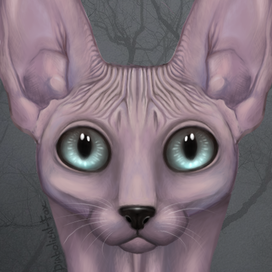 кот