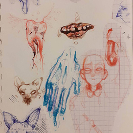 Заяц