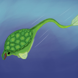 Морская черепашка