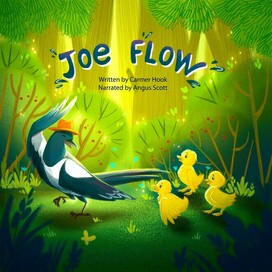 Обложка для деткой книги "Joe Flow"