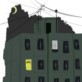 в доме один