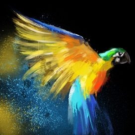 Взмах крыльев 