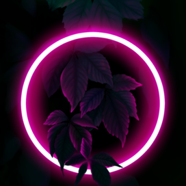 Листья в неоне 