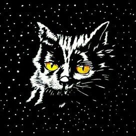 Космический кот Барсик