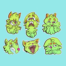 Зеленый кот