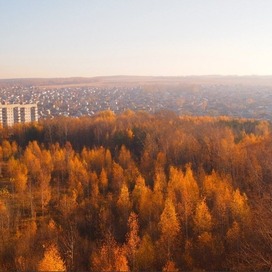 Ноксинский Лес Восток