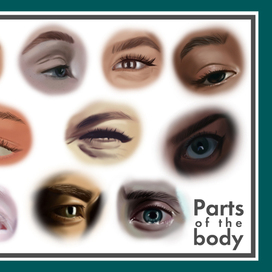 Parts of the body. Eyes