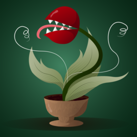 Безобидное растение