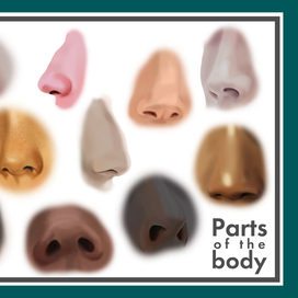 Parts of the body. Noses