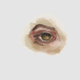 Eye