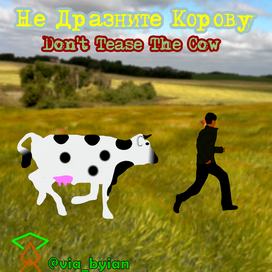 Не дразните Корову/Don't tease the Cow