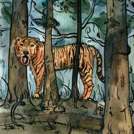 Иллюстрация к сказке «Тигр и человек»