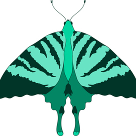Зеленая Бабочка
