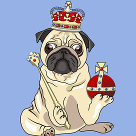 Lord pug