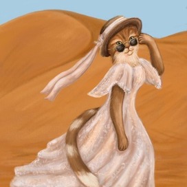 Кошка путешественница в пустыне