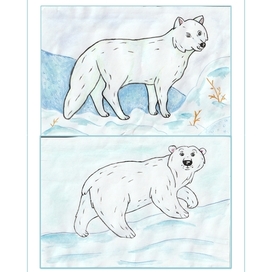 Северный медведь и песец