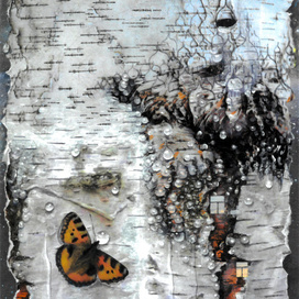 Природа и цивилизация