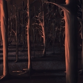 Forrest 