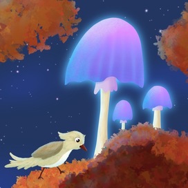 Ночные грибы