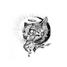 Кошки-мышки