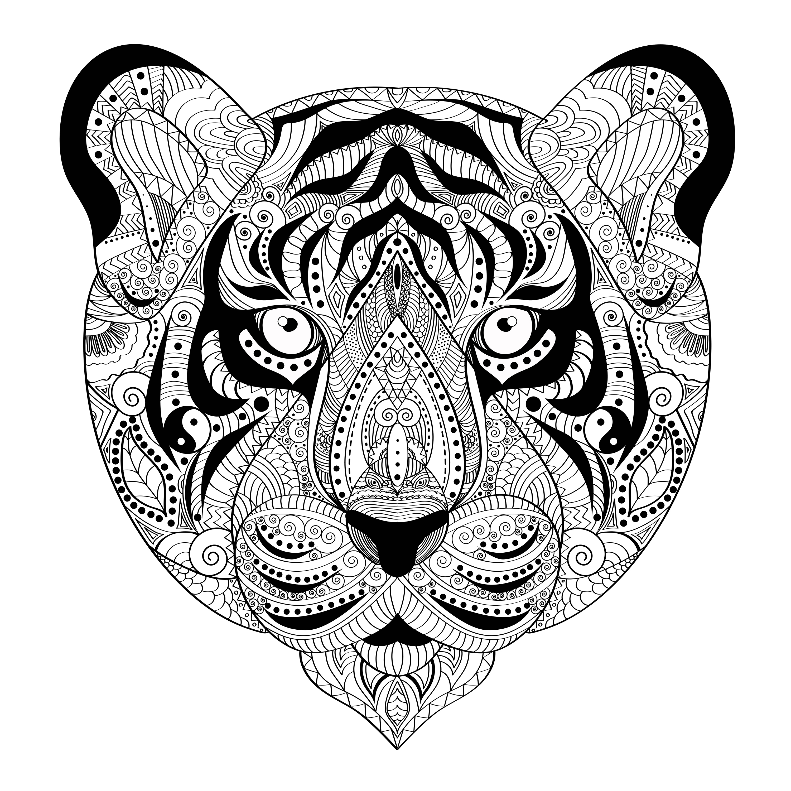 Тигр раскраски