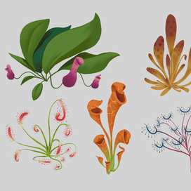 Plants Concept art