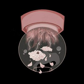 Старая иллюстрация.