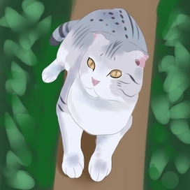 Котик на лавочке