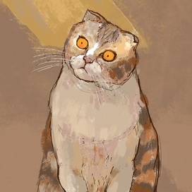 Янтарные глаза