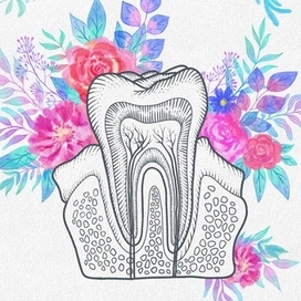 Иллюстрации для стоматологии