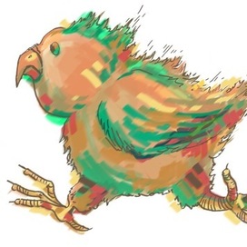 Пламенный попугайй