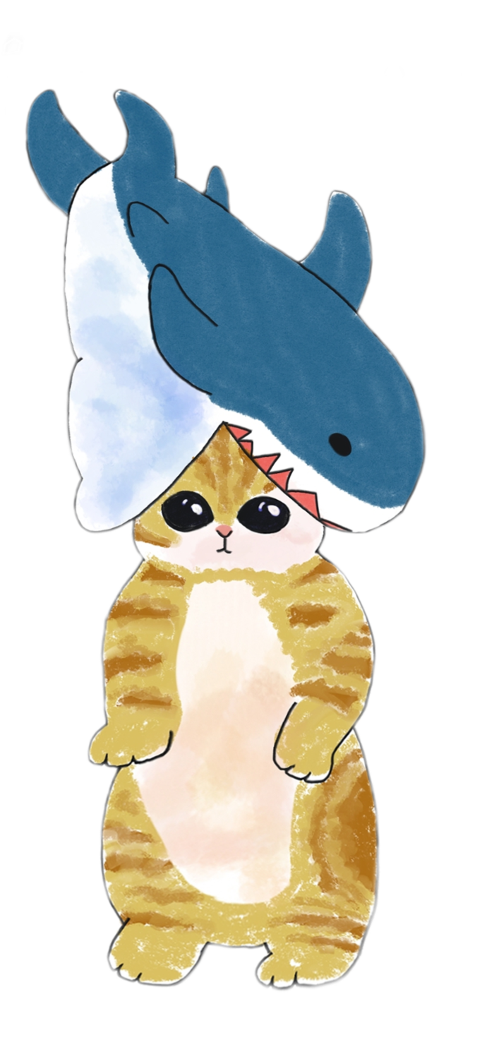 Котик акула рисунок